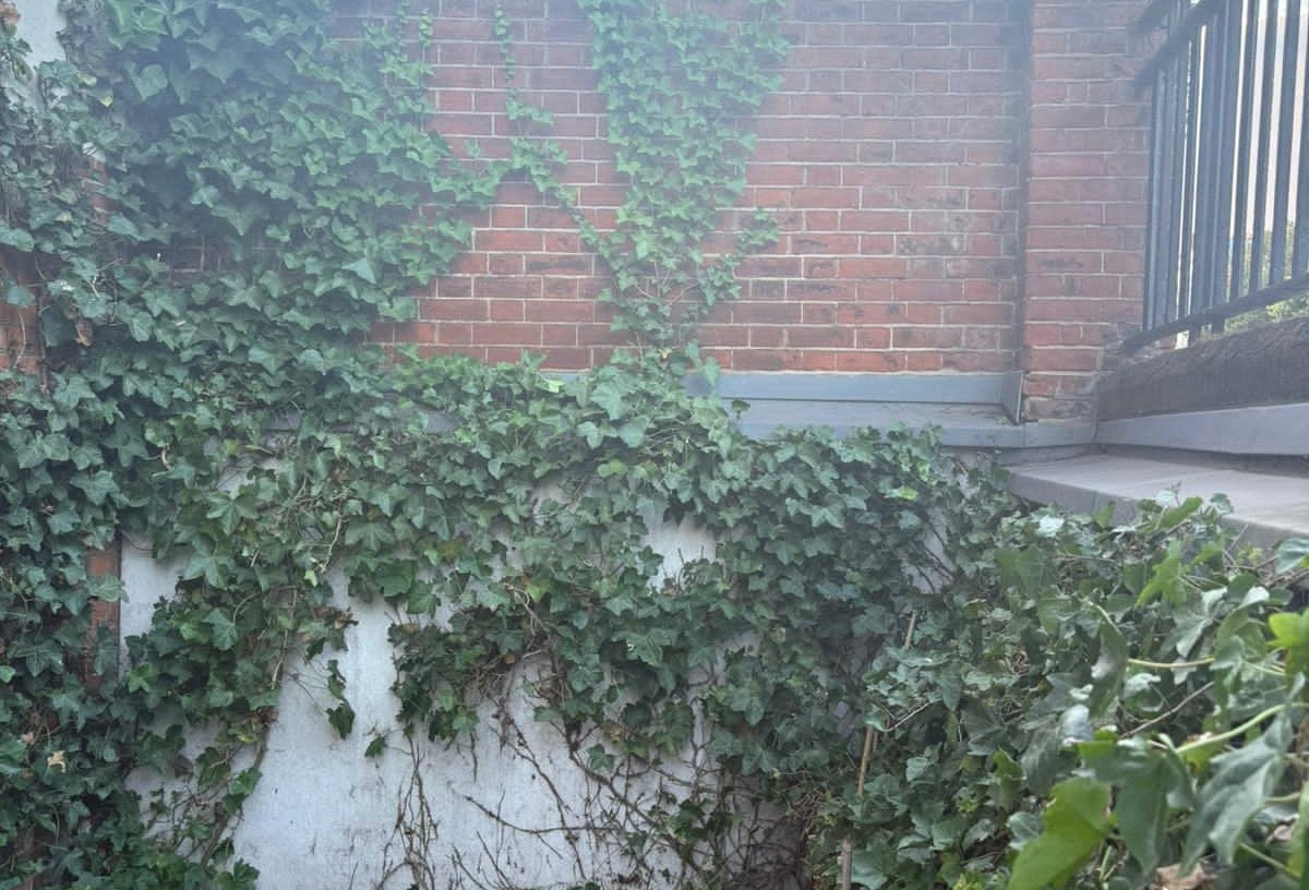 Harrow Road, London, W9 - Picture 5