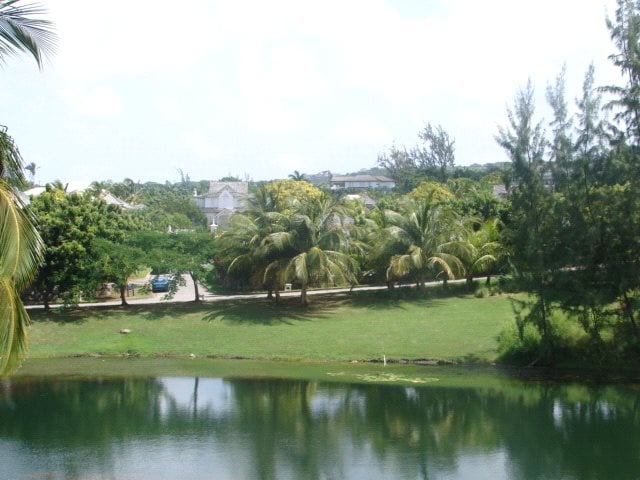Picture No. 14