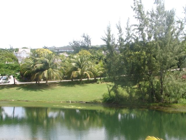 Picture No. 15