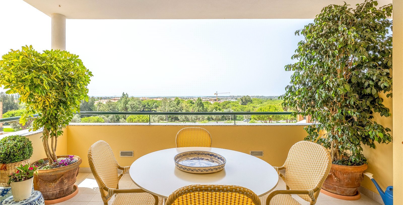 Cluttons-Algarve