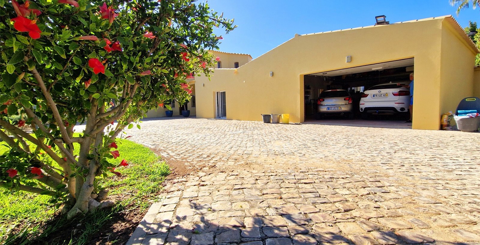 Cluttons-Algarve