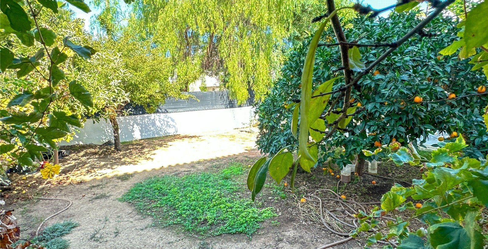 Picture No. 16