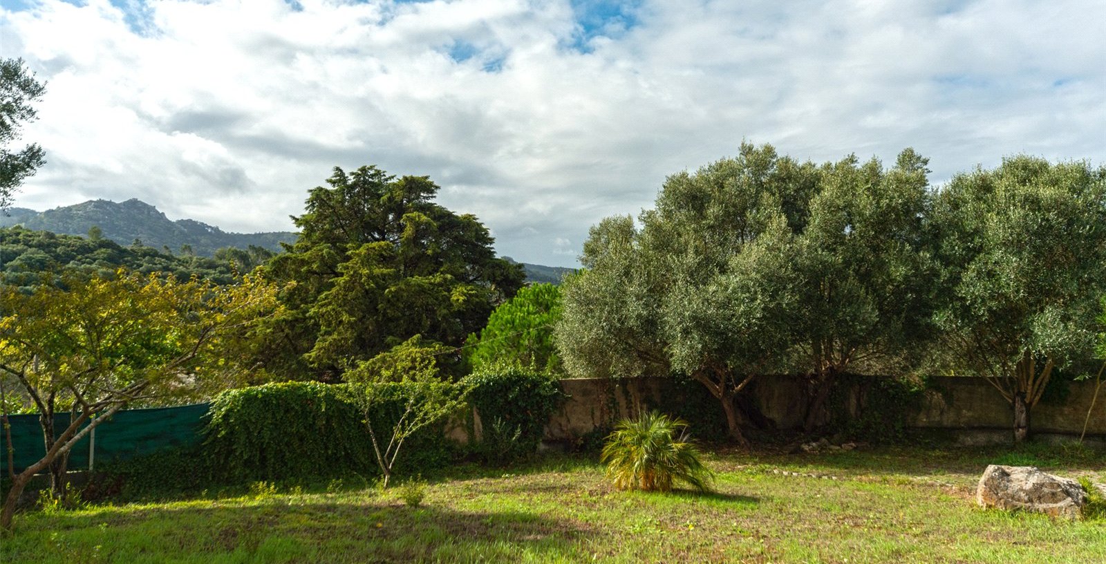 Cabriz, Portugal, 2710, Portugal - Picture 39