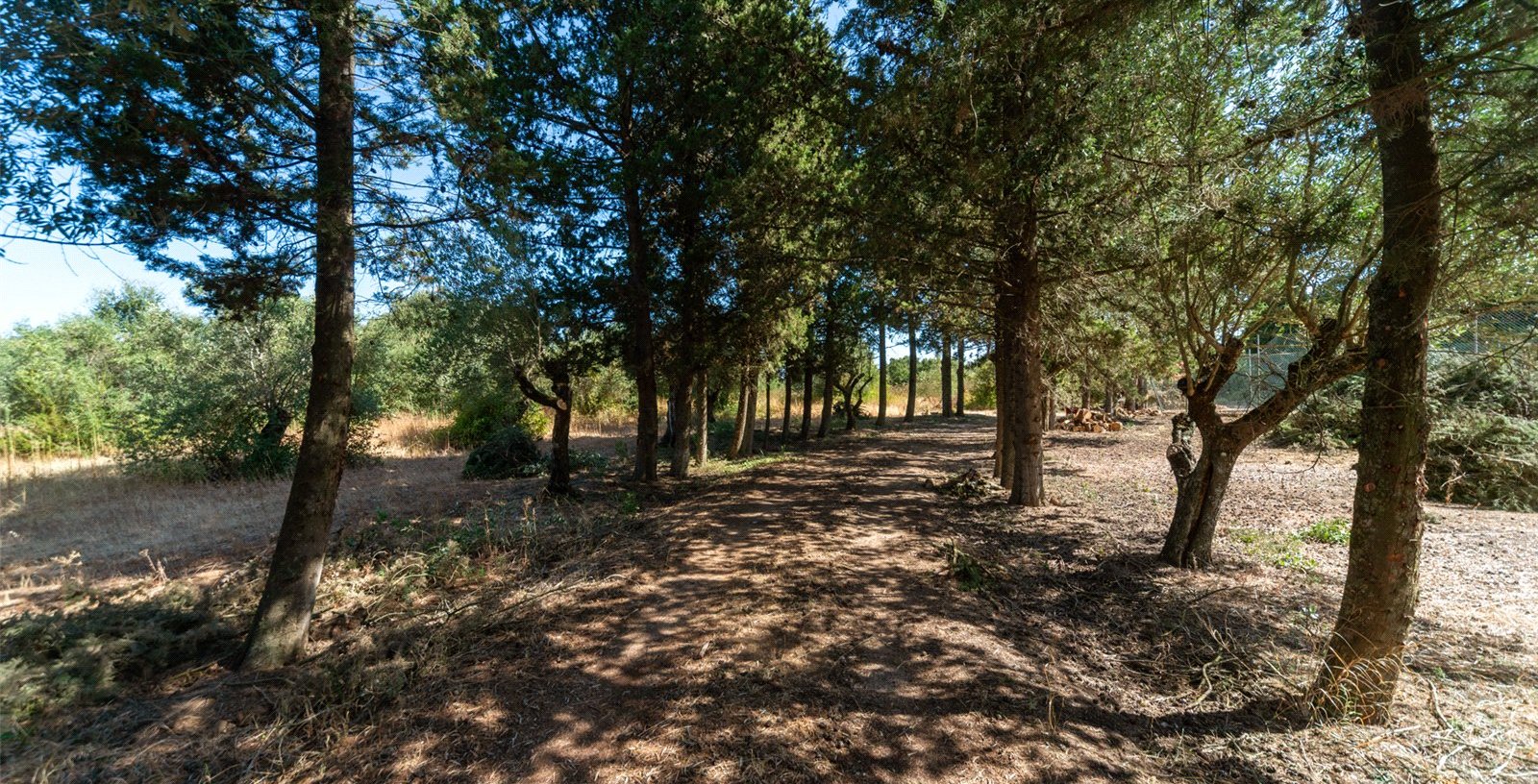 Farmhouse, Ota, Alenquer, Portugal, 7520-415, Portugal - Picture 31