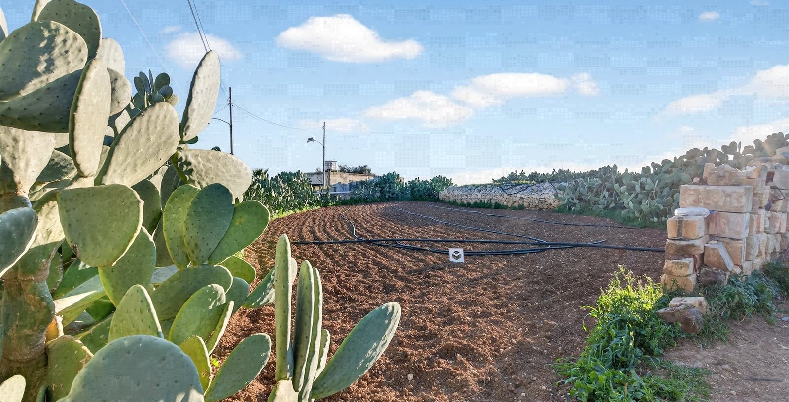 Zejtun, Malta, Malta - Picture 16