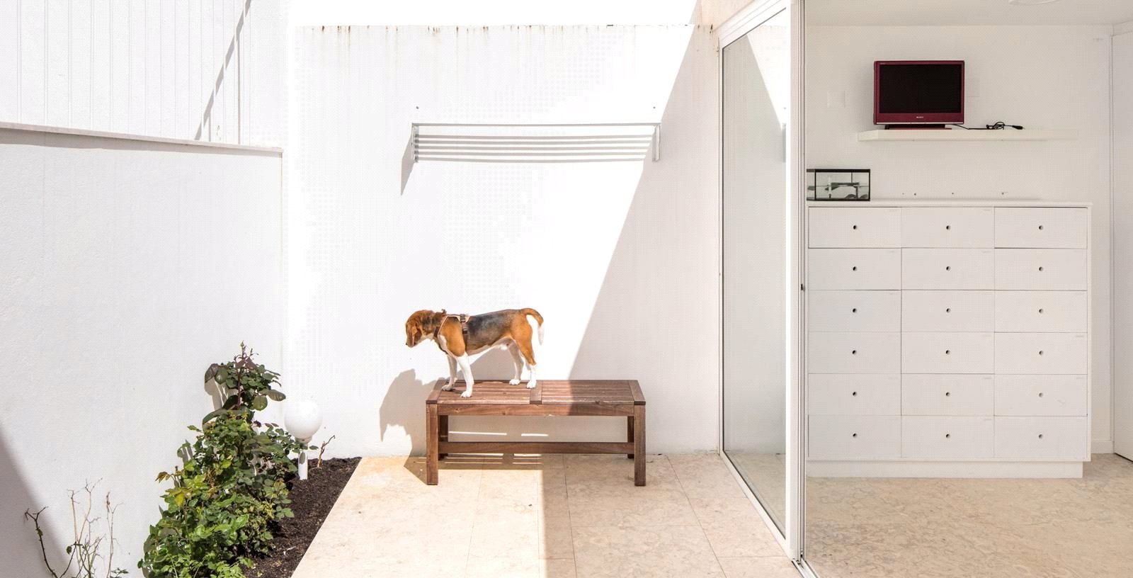 Private Garden Flat In Av. Novas, Lisbon, Portugal, 1070-034, Portugal - Picture 3