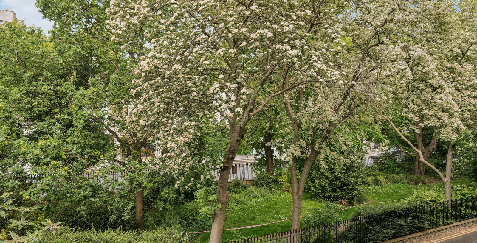 Compton Terrace, Islington, London, N1 - Picture 15