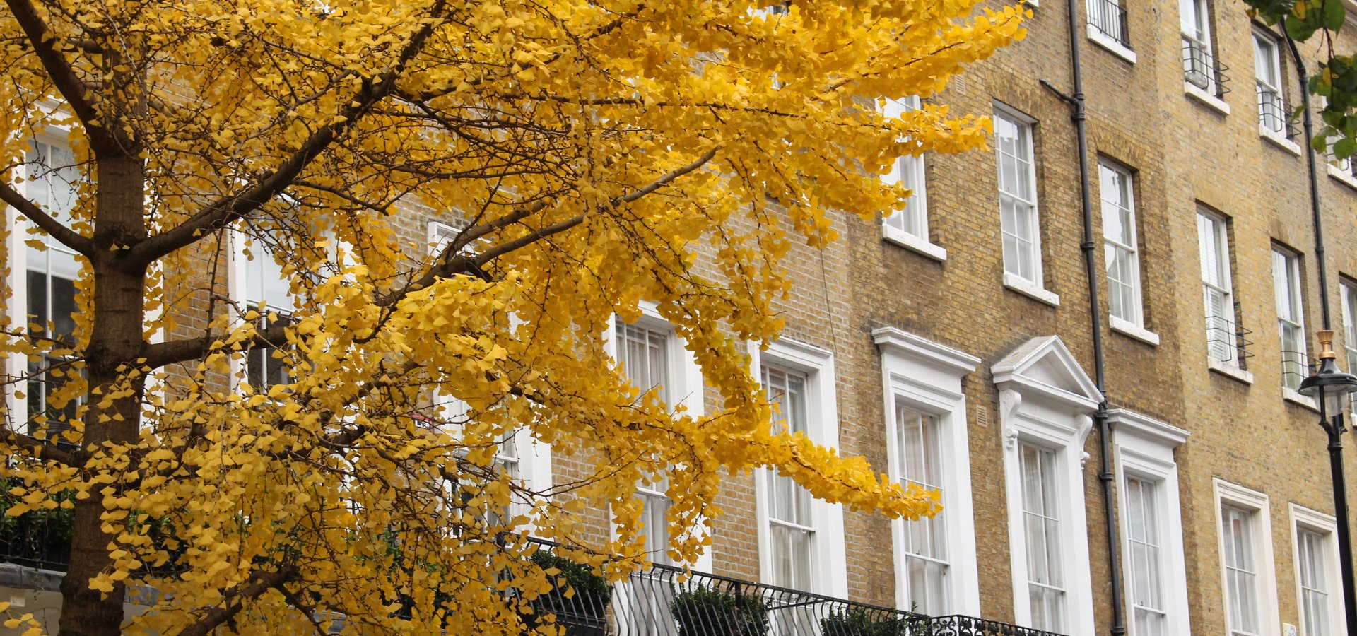 London properties and landscape transitioning into Autumn