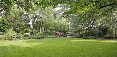 Devonport, London, W2 - Picture preview 9