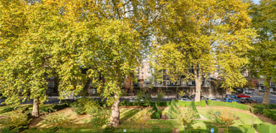 Cambridge Square, London, W2 - Picture preview 16