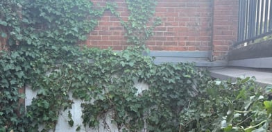 Harrow Road, London, W9 - Picture preview 5