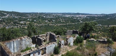 Picture No. 15