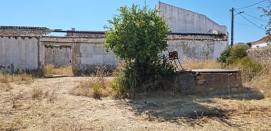 Picture No. 15