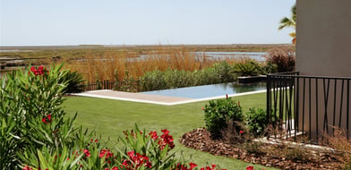 Faro, Algarve, Portugal, 8005-234, Portugal - Picture preview 31