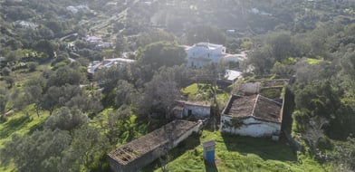 Picture No. 16