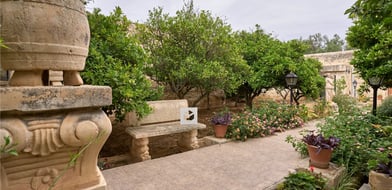 Picture No. 25