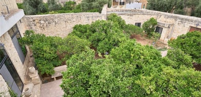 Picture No. 34
