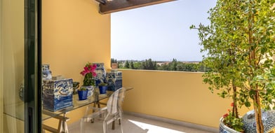 Cluttons-Algarve
