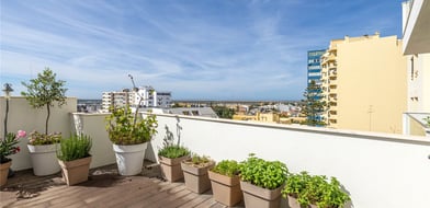 Cluttons-Algarve