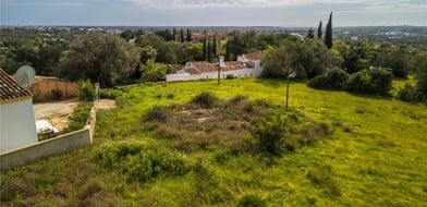 Picture No. 15
