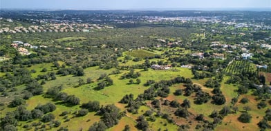 Poço de Amoreira, Almancil, Algarve, Portugal - Picture preview 8