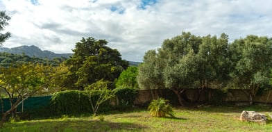 Cabriz, Portugal, 2710, Portugal - Picture preview 39