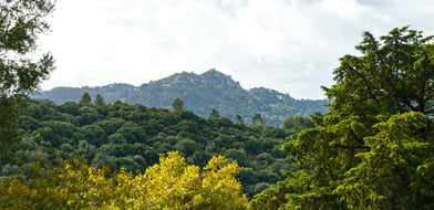 Cabriz, Portugal, 2710, Portugal - Picture preview 41