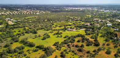 Poço de Amoreira, Almancil, Algarve, Portugal - Picture preview 8