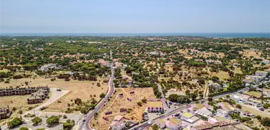 Picture No. 13