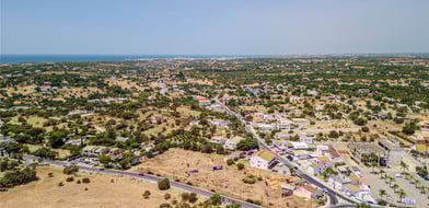 Picture No. 15