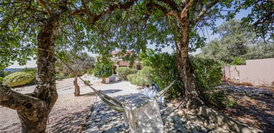 Santa Bárbara de Nexe, Faro, Algarve, Portugal - Picture preview 39