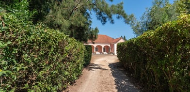 Farmhouse, Ota, Alenquer, Portugal, 7520-415, Portugal - Picture preview 7