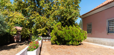 Farmhouse, Ota, Alenquer, Portugal, 7520-415, Portugal - Picture preview 14