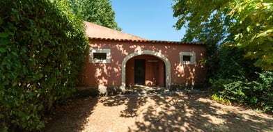 Farmhouse, Ota, Alenquer, Portugal, 7520-415, Portugal - Picture preview 19