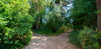 Farmhouse, Ota, Alenquer, Portugal, 7520-415, Portugal - Picture preview 29