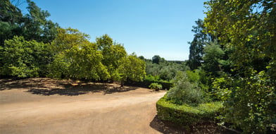 Farmhouse, Ota, Alenquer, Portugal, 7520-415, Portugal - Picture preview 69
