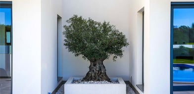 Guia, Albufeira, Algarve, Portugal - Picture preview 46