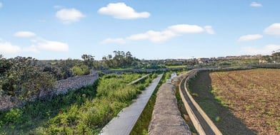 Zejtun, Malta, Malta - Picture preview 4
