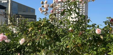 Penthouse Picoas, Lisbon, Portugal, 1070-034, Portugal - Picture preview 44