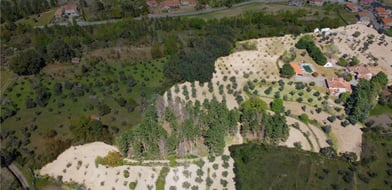 Celorico Da Beira, Celorico Da Beira, Portugal, 7090-079, Portugal - Picture preview 7
