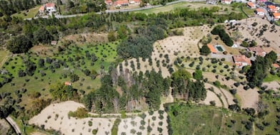 Celorico Da Beira, Celorico Da Beira, Portugal, 7090-079, Portugal - Picture preview 8