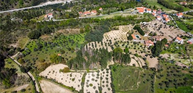 Celorico Da Beira, Celorico Da Beira, Portugal, 7090-079, Portugal - Picture preview 15