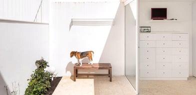 Private Garden Flat In Av. Novas, Lisbon, Portugal, 1070-034, Portugal - Picture preview 3