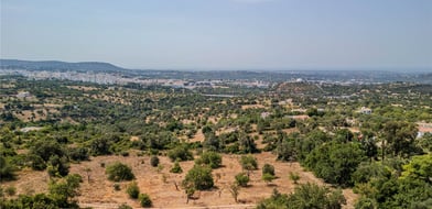 Vale Rosa, Loulé, Algarve, Portugal - Picture preview 10