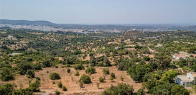 Vale Rosa, Loulé, Algarve, Portugal - Picture preview 12