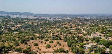 Vale Rosa, Loulé, Algarve, Portugal - Picture preview 15