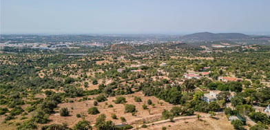 Vale Rosa, Loulé, Algarve, Portugal - Picture preview 16