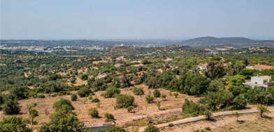 Vale Rosa, Loulé, Algarve, Portugal - Picture preview 17