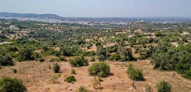 Vale Rosa, Loulé, Algarve, Portugal - Picture preview 20