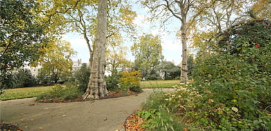 Picture No. 28